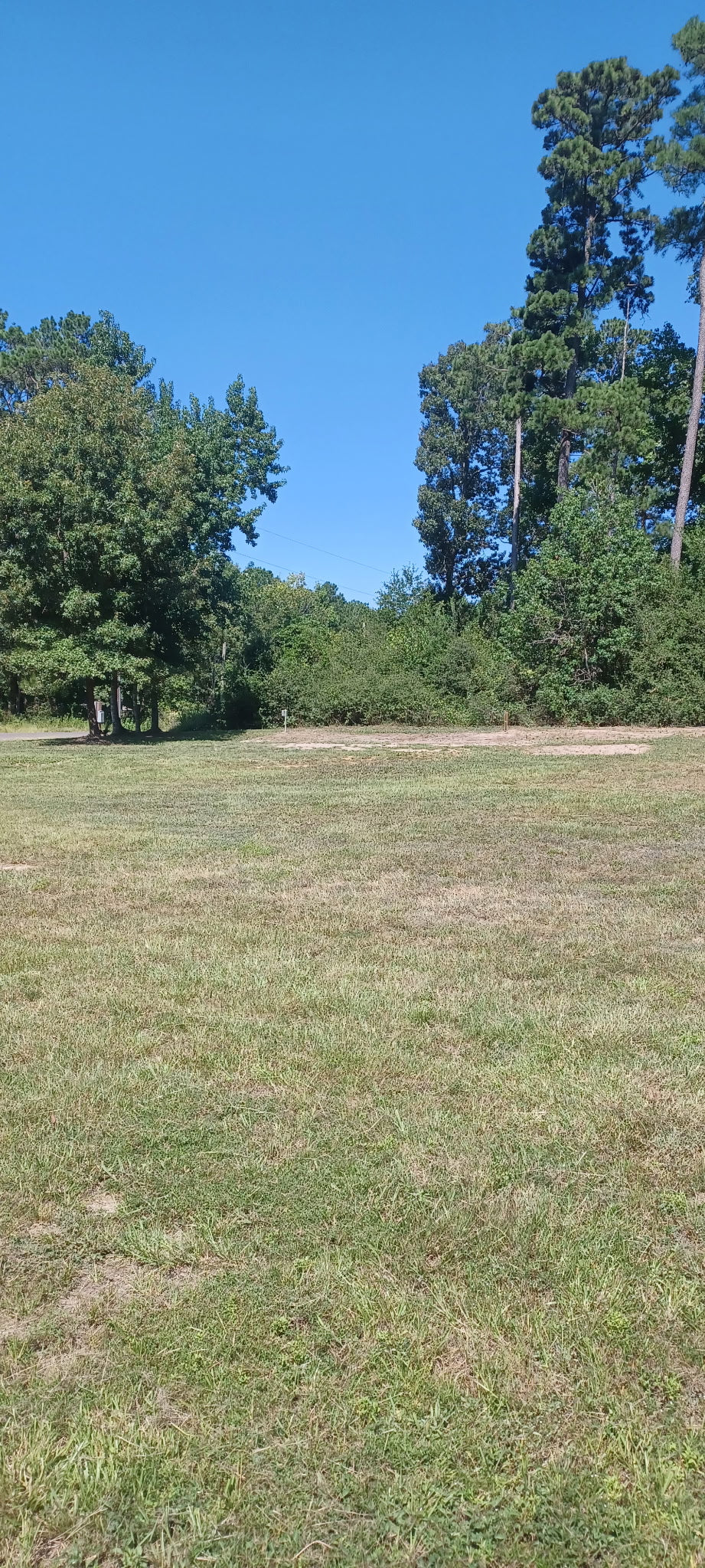 An open grassy field with trees in the background under a clear blue sky.
